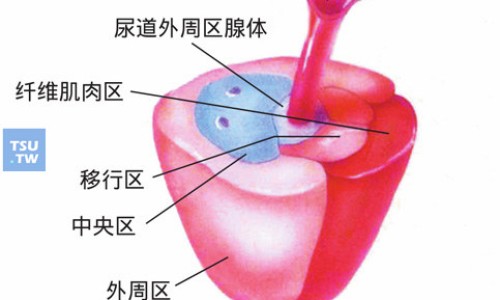炎宁片的功效与作用专区_炎宁胶囊价格表及图片专区_炎宁胶囊价格表网