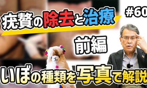炎宁片的功效与作用-炎宁片的功效与作用专区_炎宁胶囊价格表及图片专区_炎宁胶囊价格表网