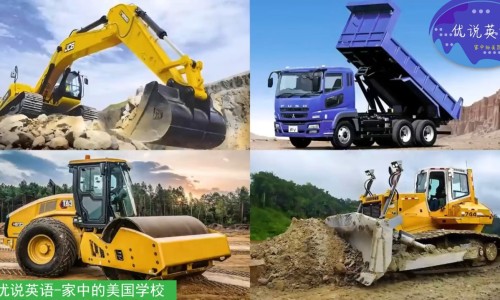 炎宁片说明书-炎宁片的功效与作用专区_炎宁胶囊价格表及图片专区_炎宁胶囊价格表网
