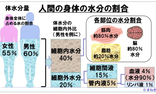 炎宁胶囊价格表及图片-炎宁片的功效与作用专区_炎宁胶囊价格表及图片专区_炎宁胶囊价格表网